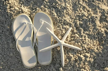 Summer holidays